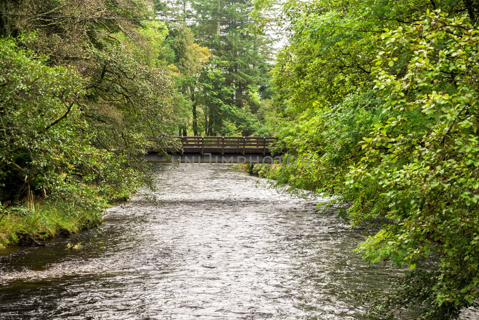 A small pedestrian bridge over river Eachaig in Benmore Botanic Garden, Loch Lomond and the Trossachs National Park, Scotland