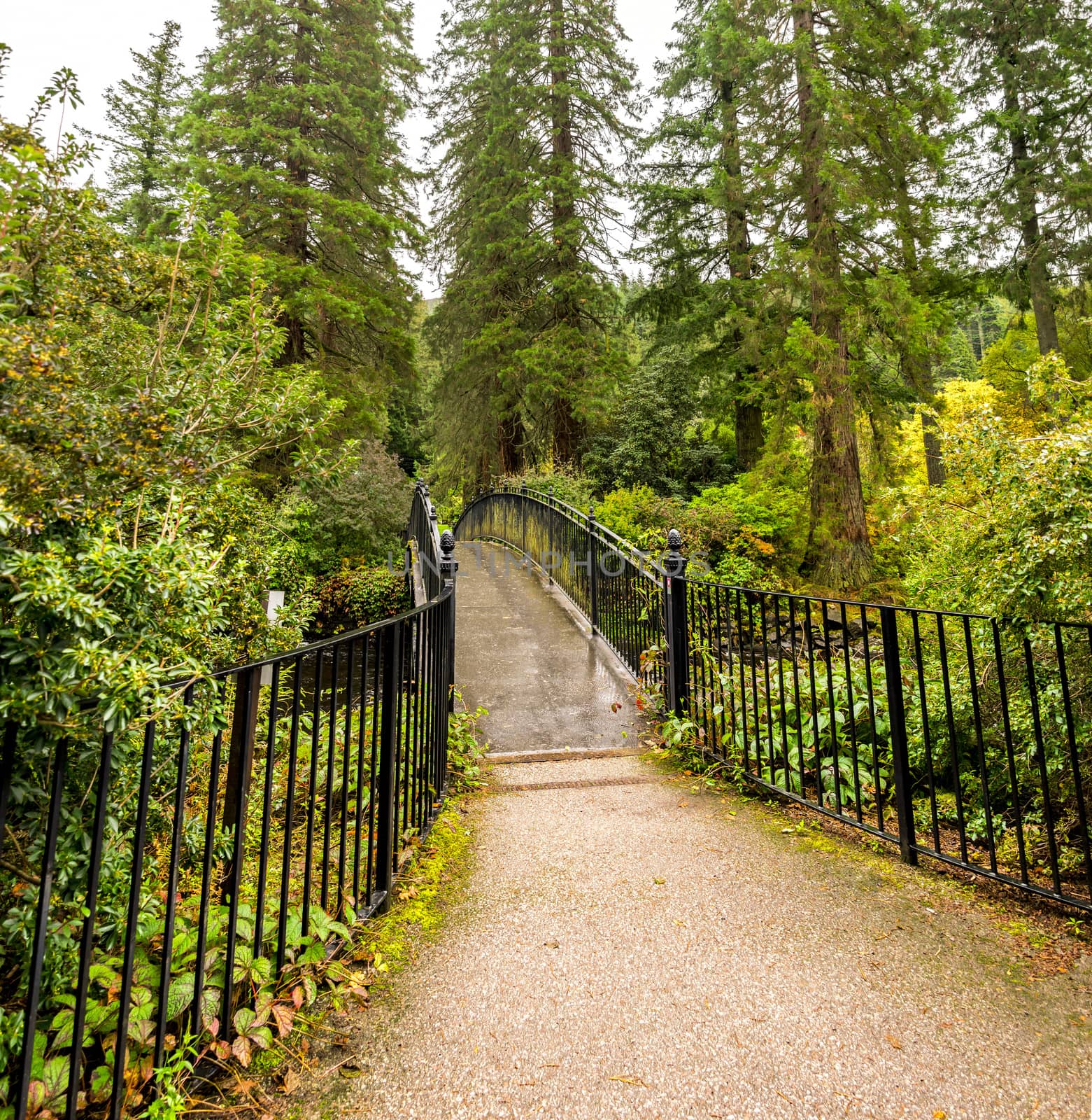 An entry visitor's bridge to Benmore Botanic Garden over river Eachaig, Loch Lomond and the Trossachs National Park, Scotland