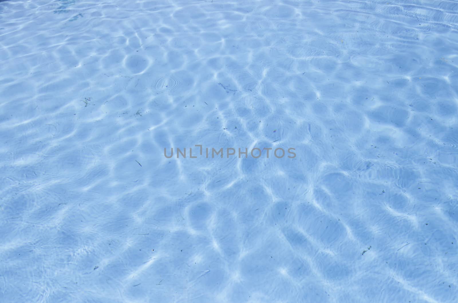 Swimming pool blue water detail in a summer swimming pool in town, hot and fun