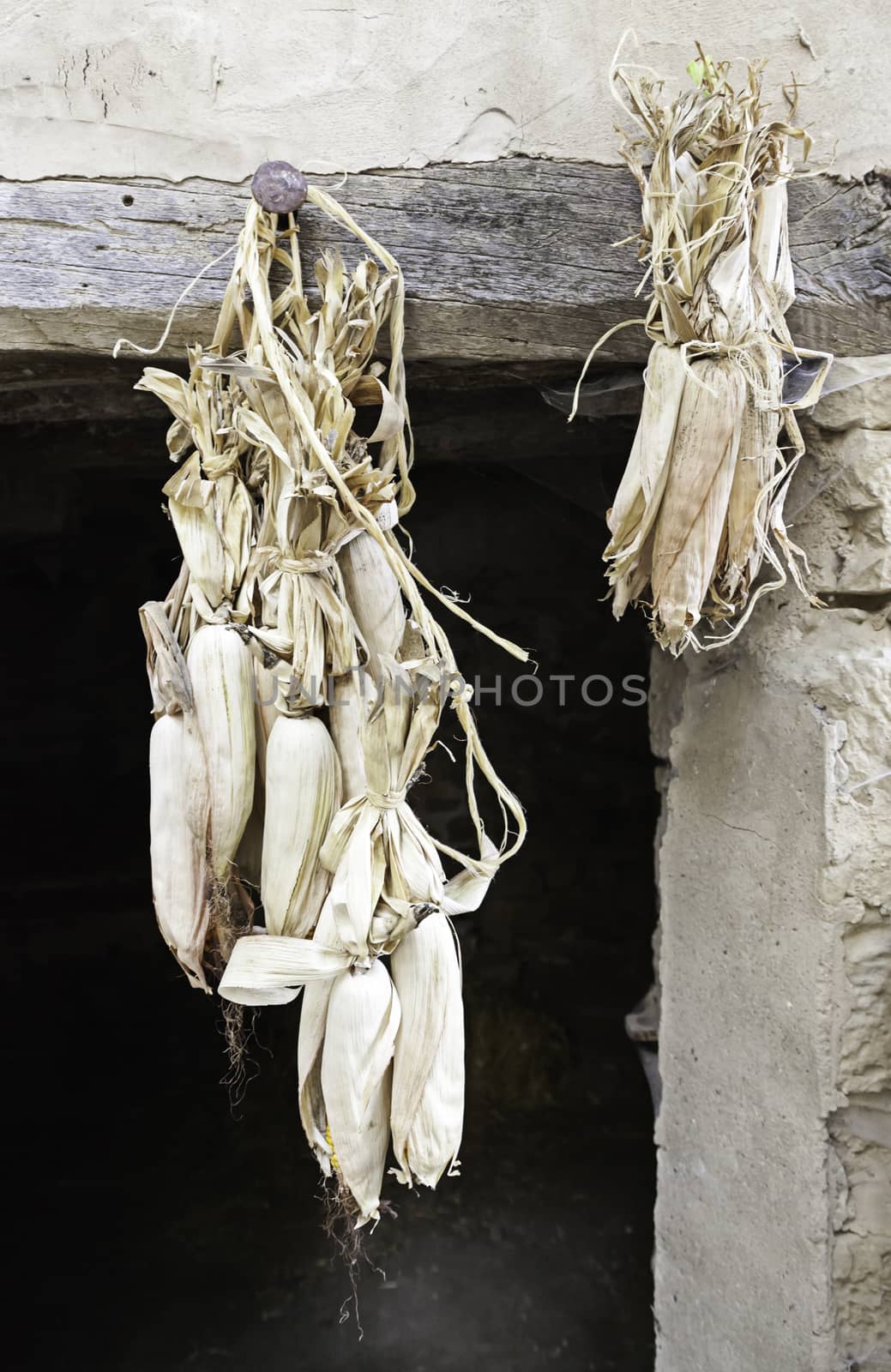 Outdoor corn drying by esebene