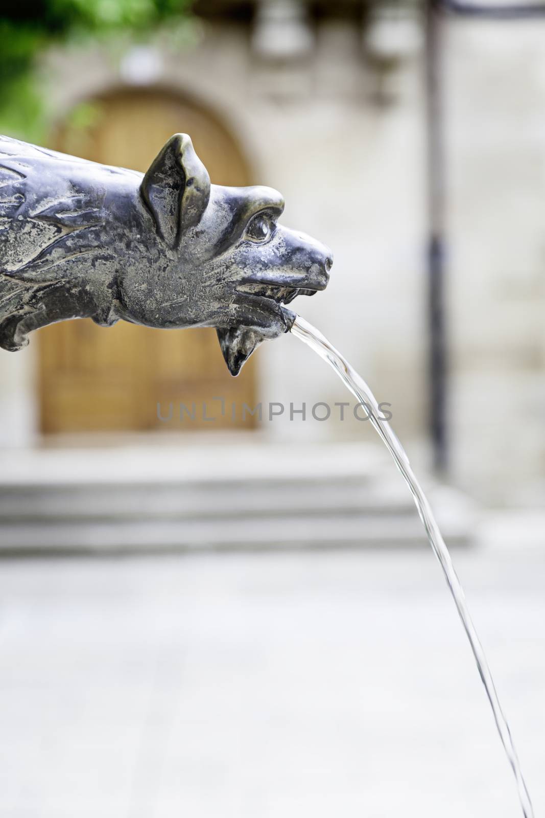 Old medieval source, detail of a decoration in a fountain in a monumeto, medieval art