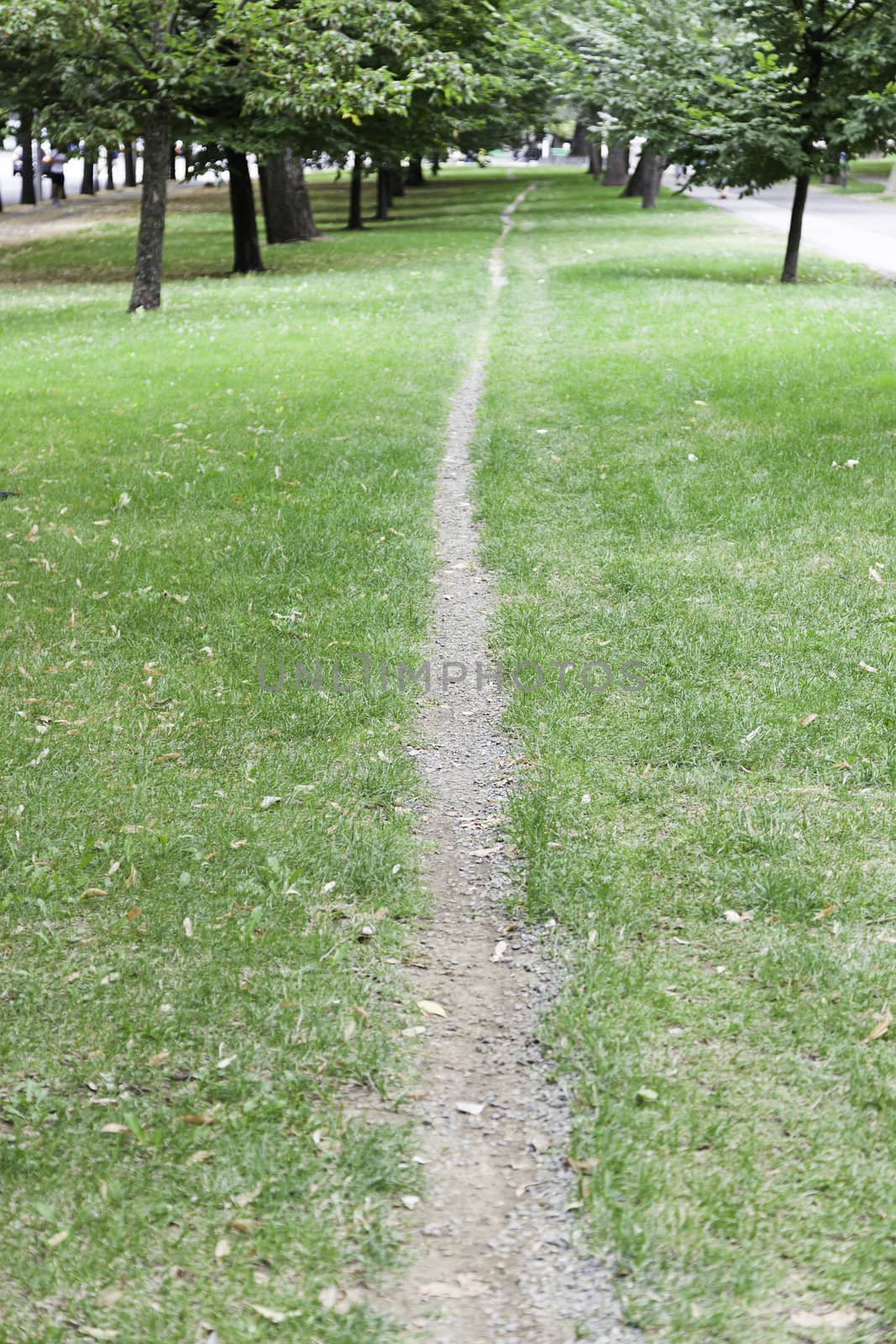 Rural road in the forest, detail of a route to walk in an urban forest, health and sport