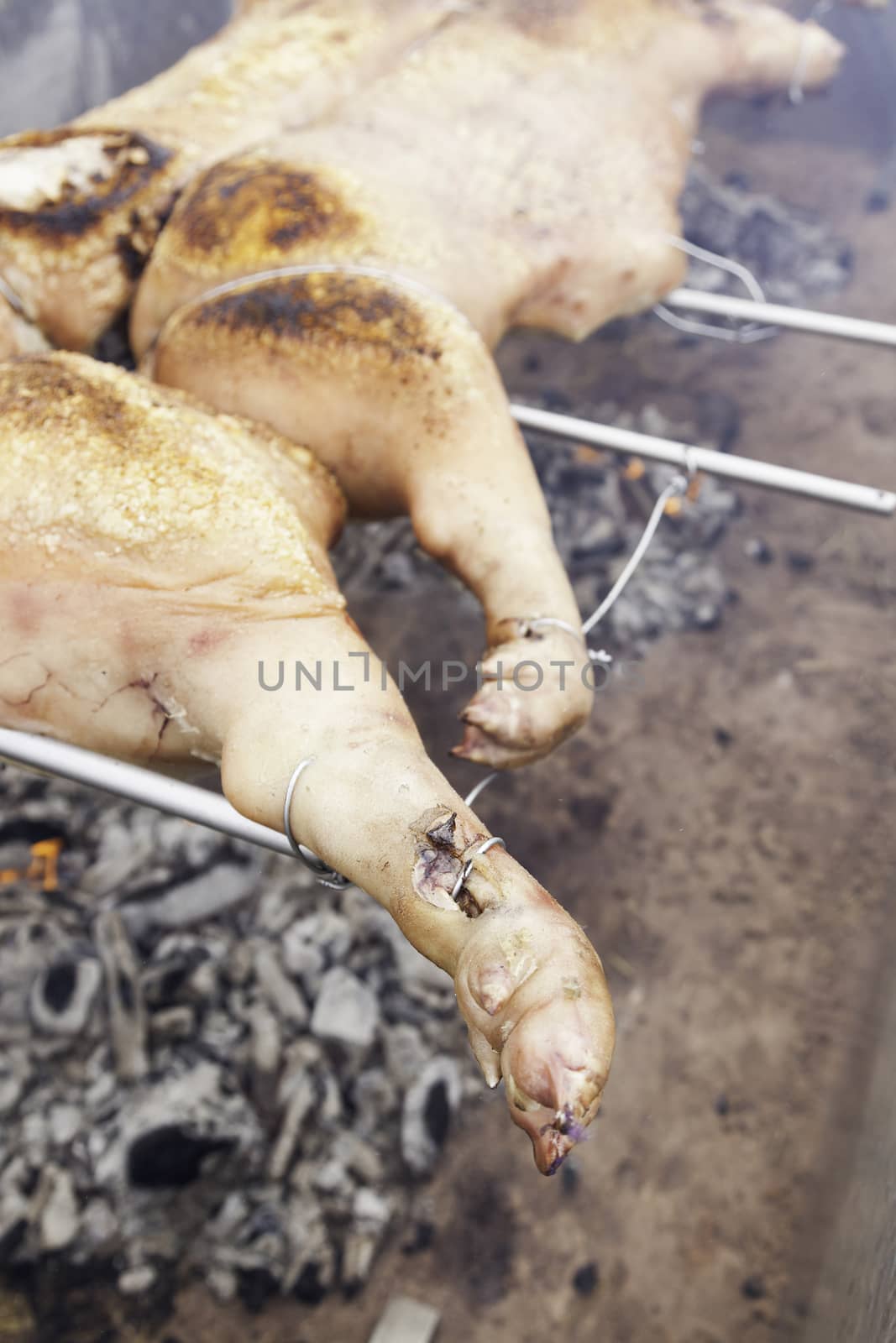 Roasted pork on the grill, cooking detail as a pig and its meat, fat rich food, healthy food