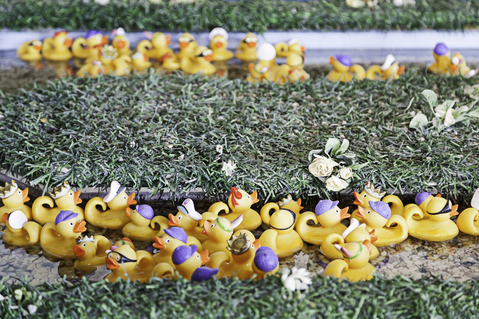 Set of rubber ducks, detail of rubber ducks on a game show, fun