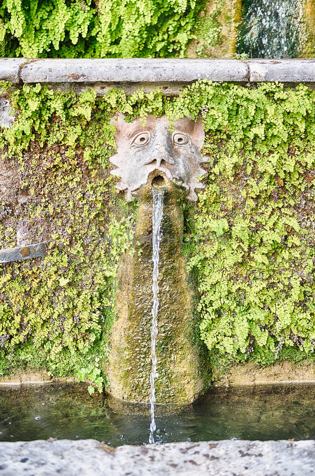 The hundred fountains, iconic spot in Villa d'Este, Tivoli, Italy