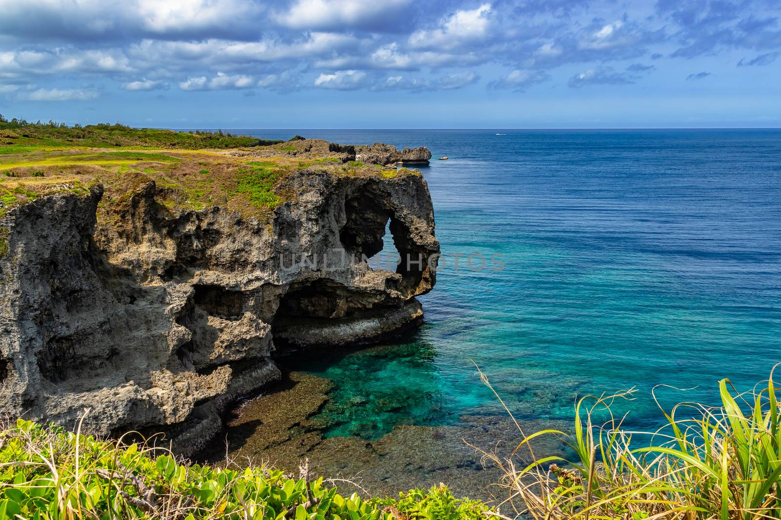 Cape Manzamo (Manzamou lit), Okinawa , Japan. It is a scenic rock formation on Okinawa Island.