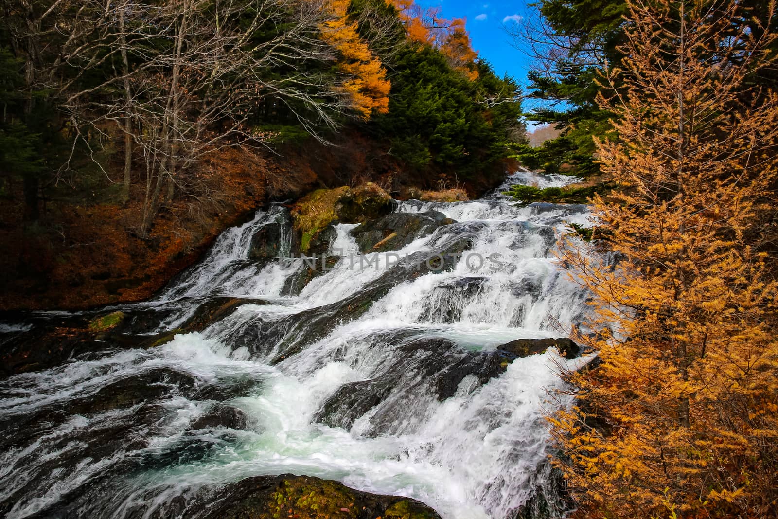 Ryuzu waterfall (Ryuzu no taki )or dragon head waterfall, water fall located on Yukawa River in Nikko national park, many autumn trees which turn yellow and red during the autumn leaf season in Japan