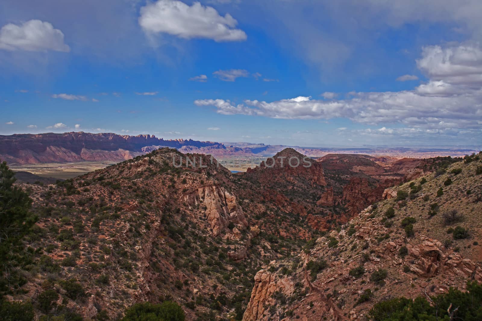 View over Utah from the Manti-La Sal Mountains with Canyonlands National Park visible in the distance.