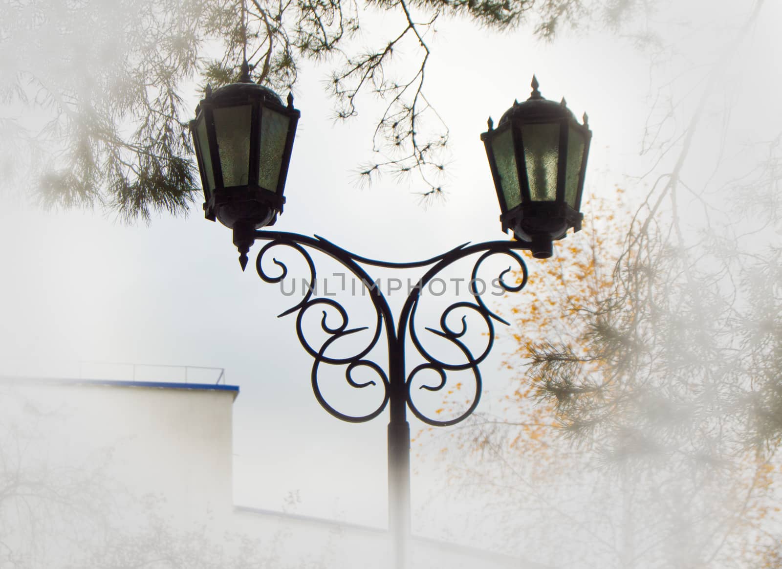 Beautiful street lamp against the sky and trees, added vignette light edges for clouds and haze.