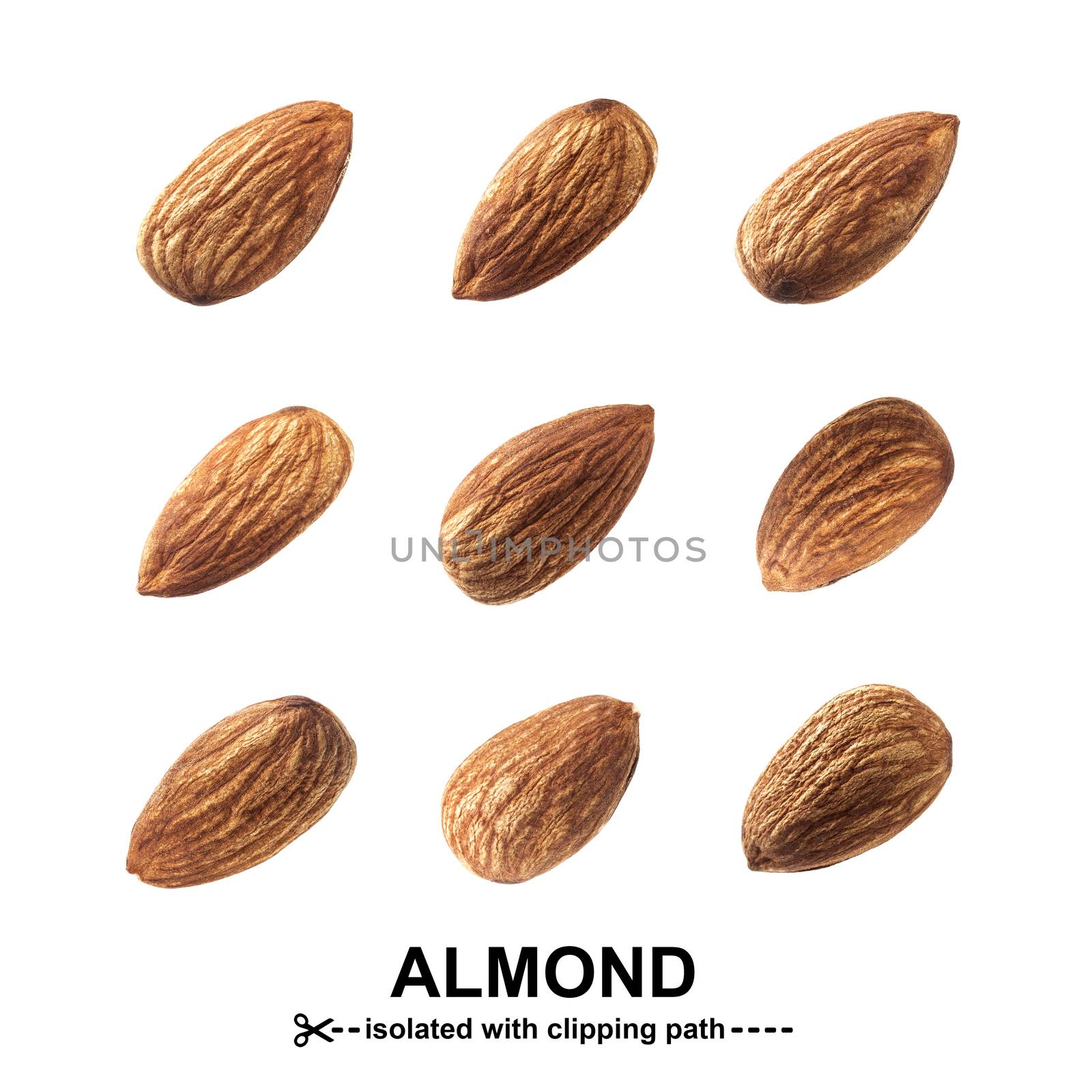 Raw almond isolated on white background with clipping path. Nuts collection.