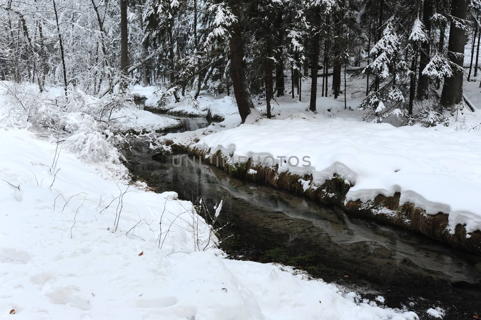 Winter landscape with snow in the Czech Switzerland