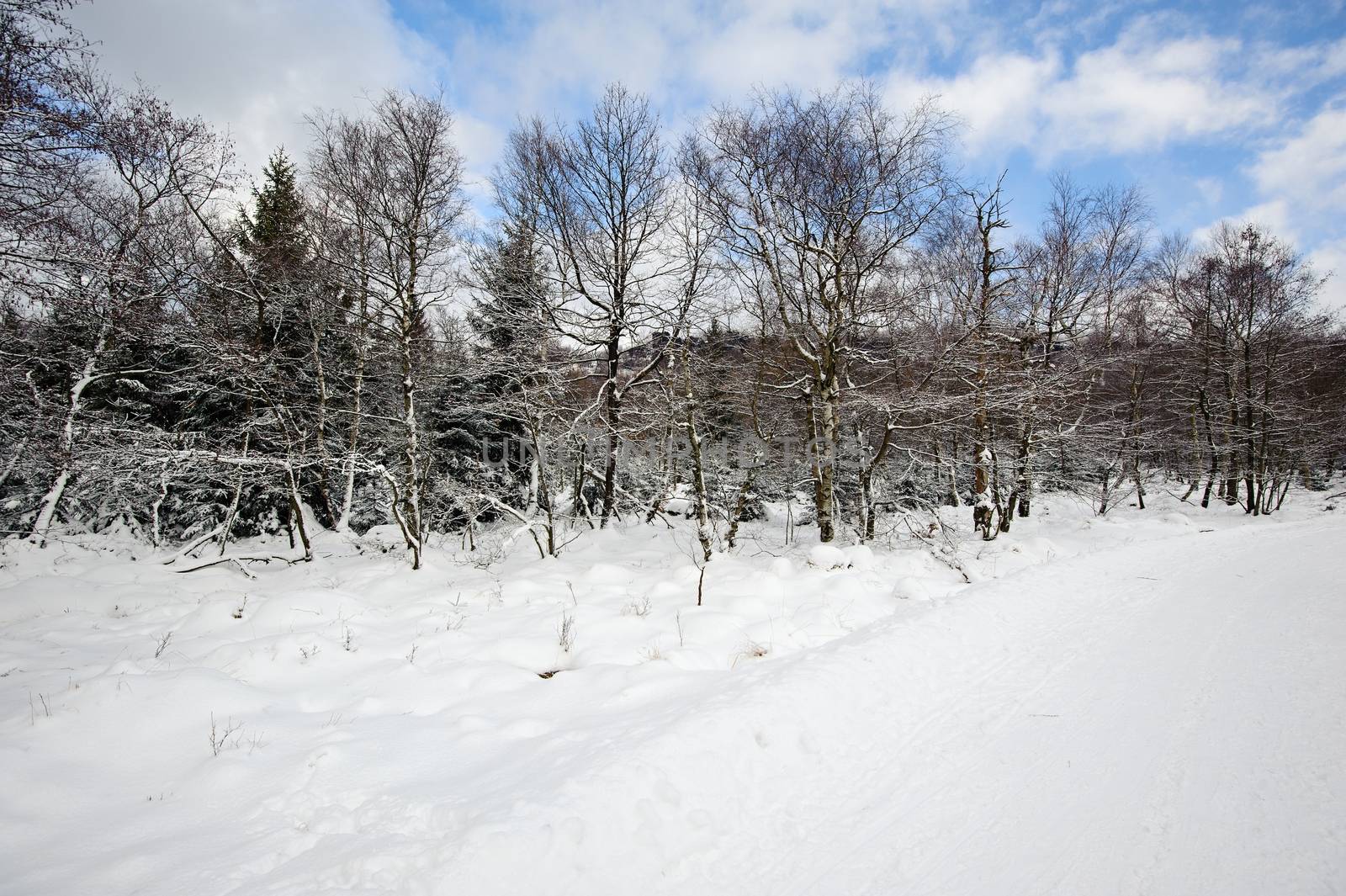 Winter landscape covered with snow and snow clouds
