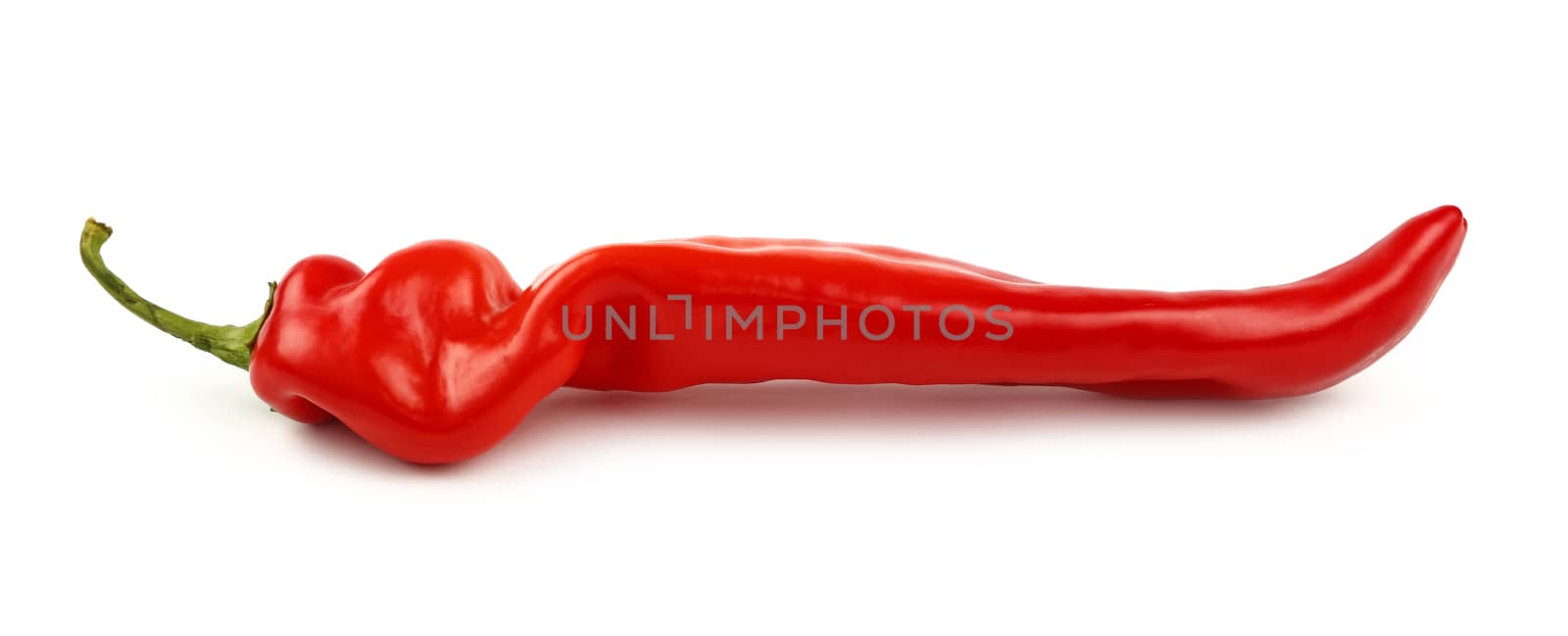 One whole fresh red sweet paprika pepper isolated on white background, close up, side low angle view