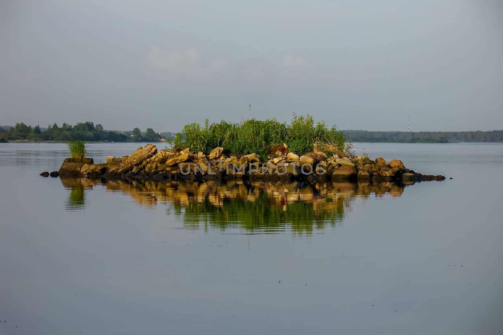 Rock with vegetation in the river.