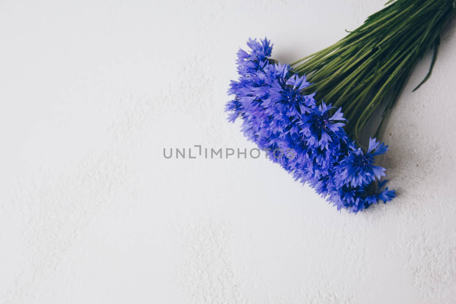 blue cornflowers bouquet, summer flowers on white background, floral background, beautiful small cornflowers close up flatlay