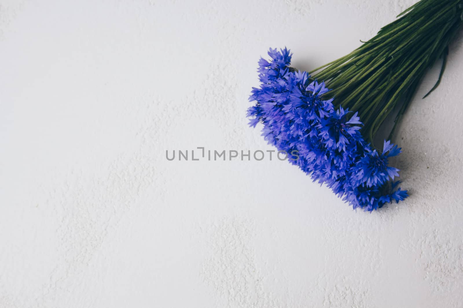 blue cornflowers bouquet, summer flowers on white background, floral background, beautiful small cornflowers close up flatlay