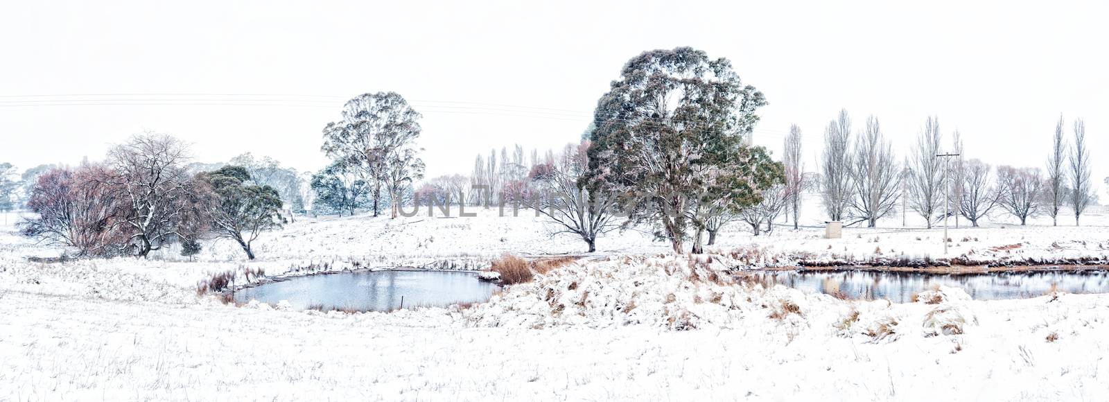 These rural farms look so pretty after a fresh dusting of white powdery snow. A mixture of poplars and gum trees dot the landscape and in the foregrund an icy cold pond or dam