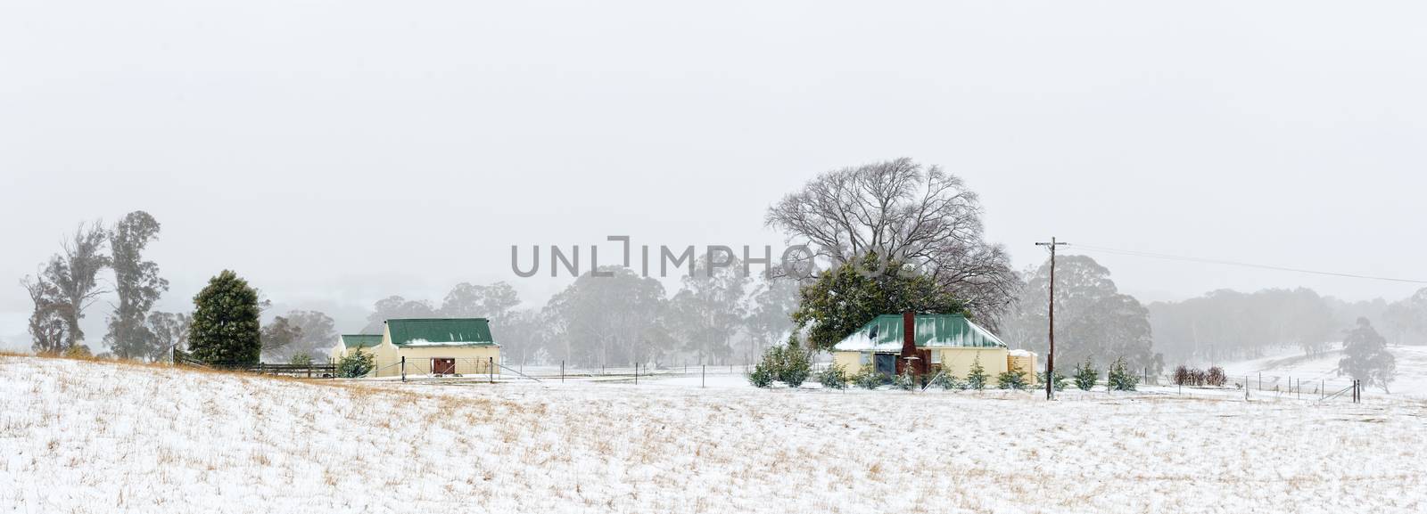 A farmhouse cream coloured with green tin roof and matching sheds and outbuildings sits in rural fields covered with fresh falling snow