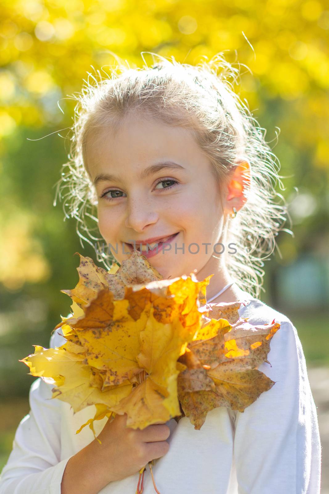 Teenage girl with yellow maple leaves by Angel_a