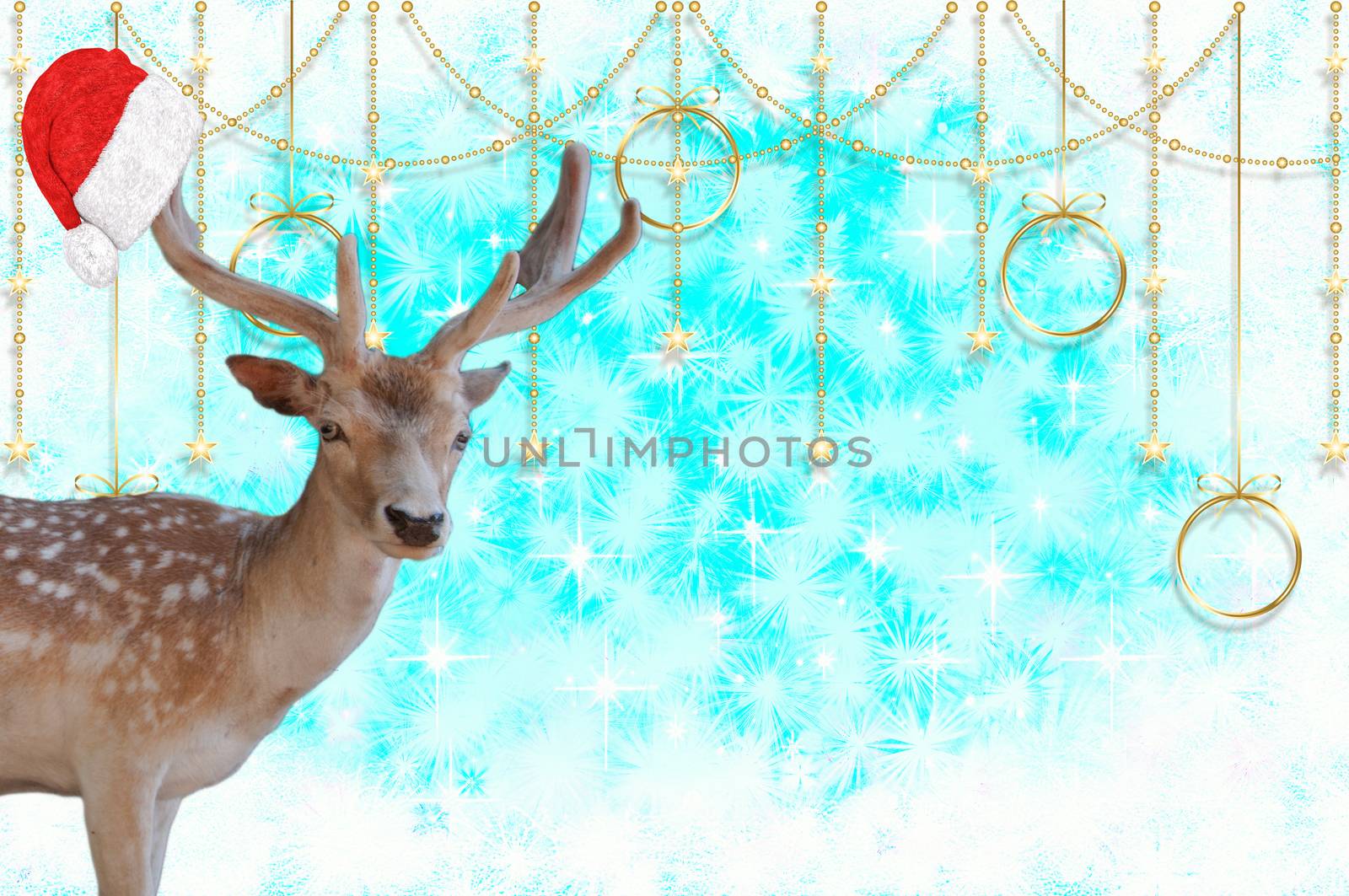 Merry christmas a reindeer with a santa claus bonnet on his antlers isolated on a beautiful blue background with stars and snow crystals