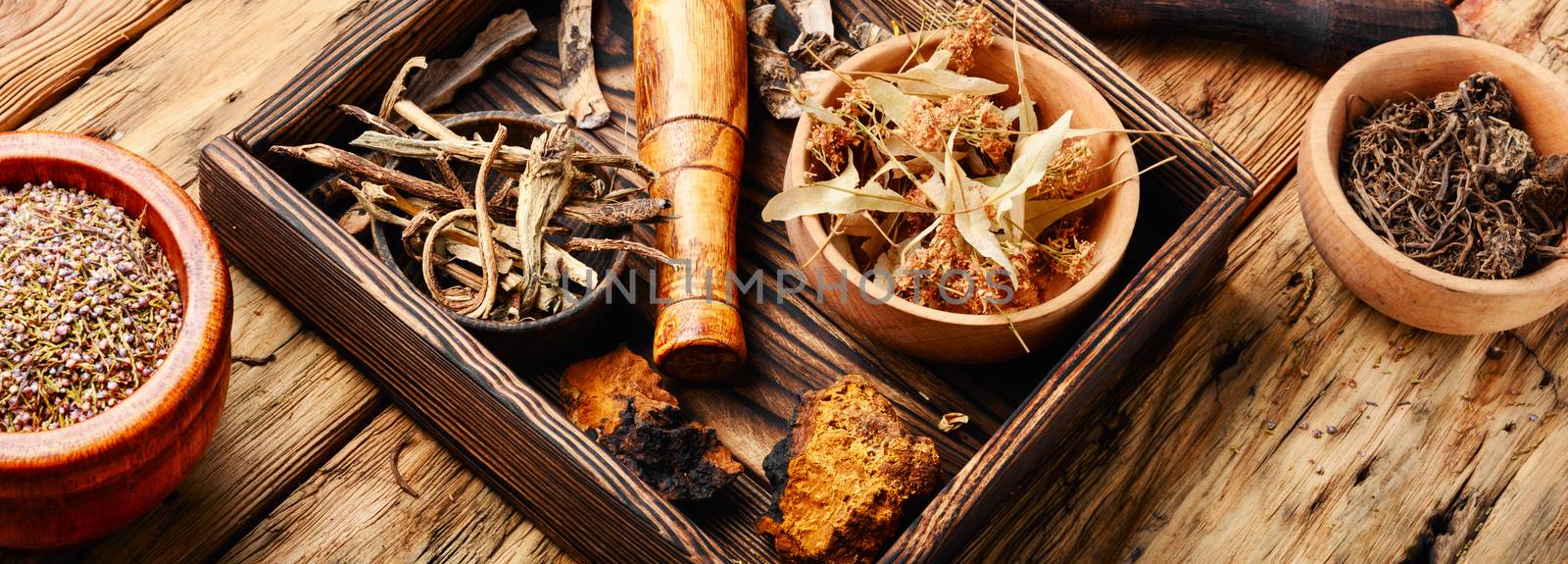 Natural medicine, herbs and plant by LMykola