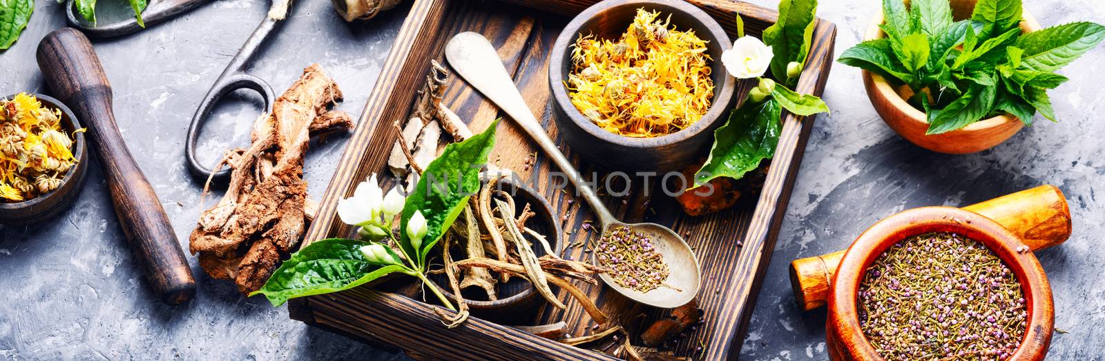 Natural herbal medicine,medicinal herbs and herbal medicinal root.Natural herbs medicine.Healing herbs