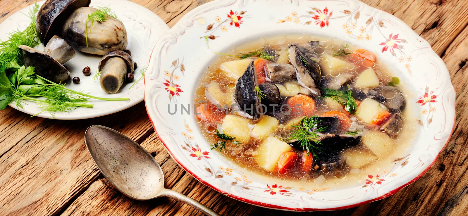 Soup with porcini mushroom by LMykola