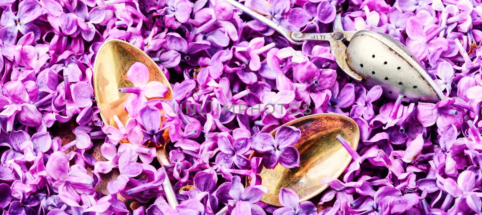 Tea background with lilac flowers and tea attributes. Herbal tea.