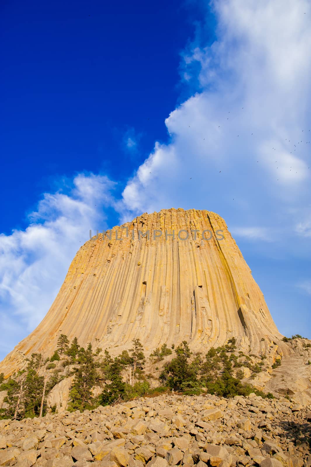 Devils Tower is located in in Crook County, northeastern Wyoming. Also, known as United States National Monument. 
