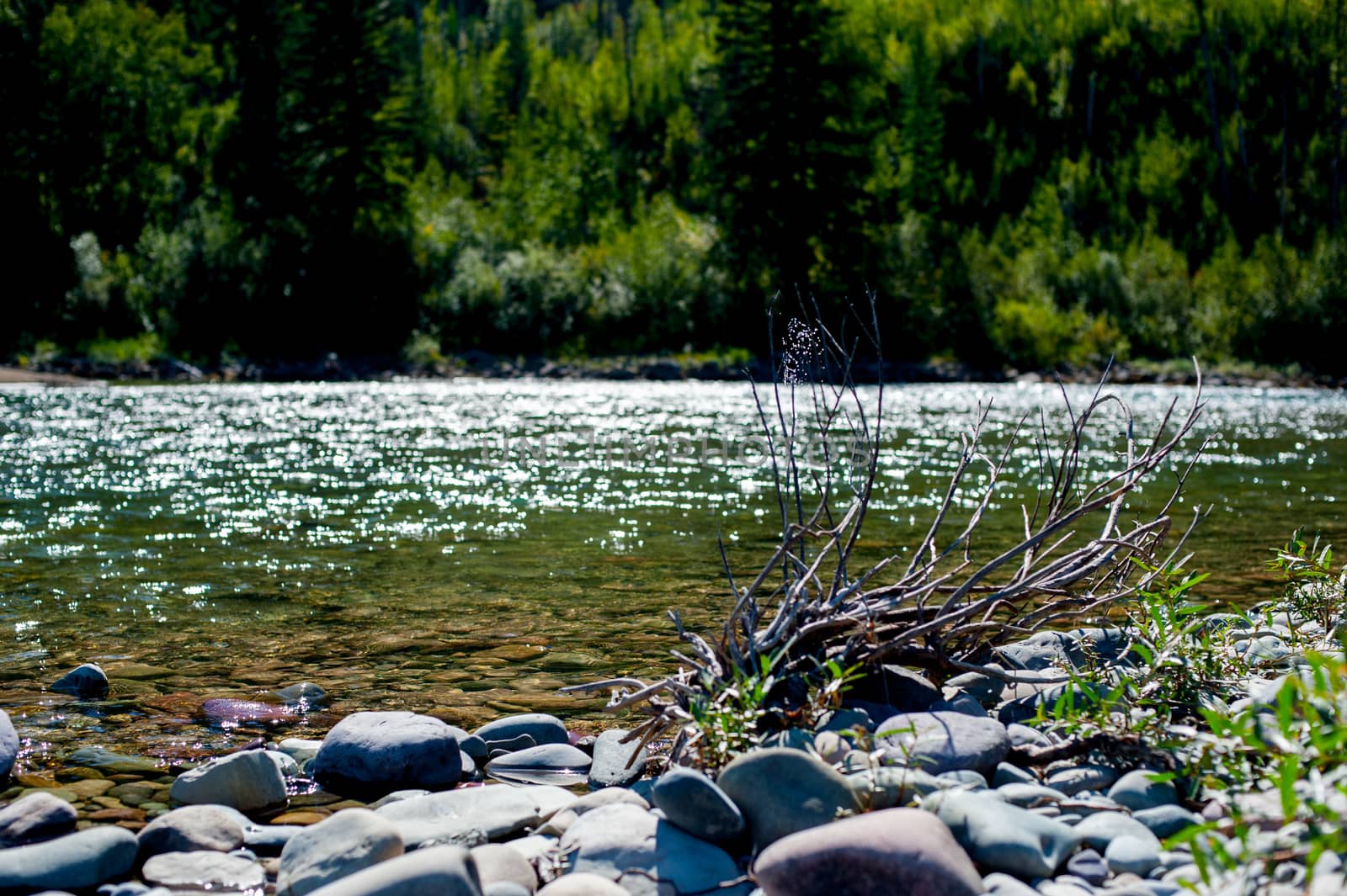 River at ''Yellowstone National Park'' is located in the U.S. states of Wyoming, Montana, and Idaho. This park is the first national park established in America.