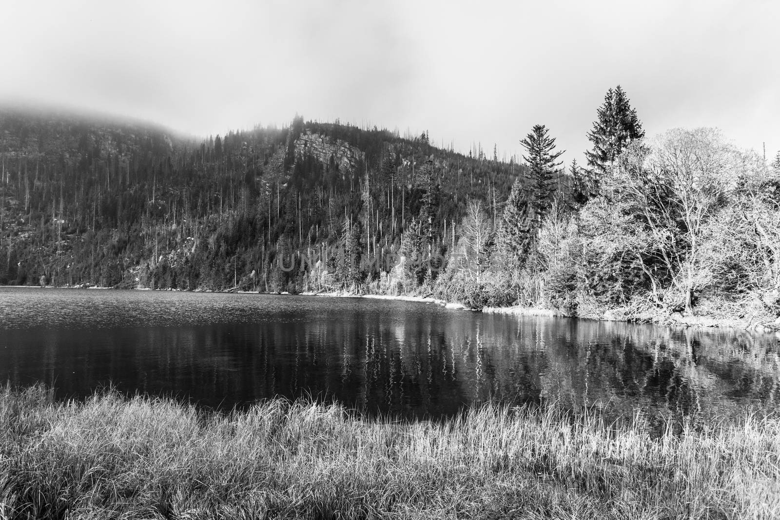 Plesne Lake and Plechy Mountain in autumn. Sumava National Park, Czech Republic by pyty