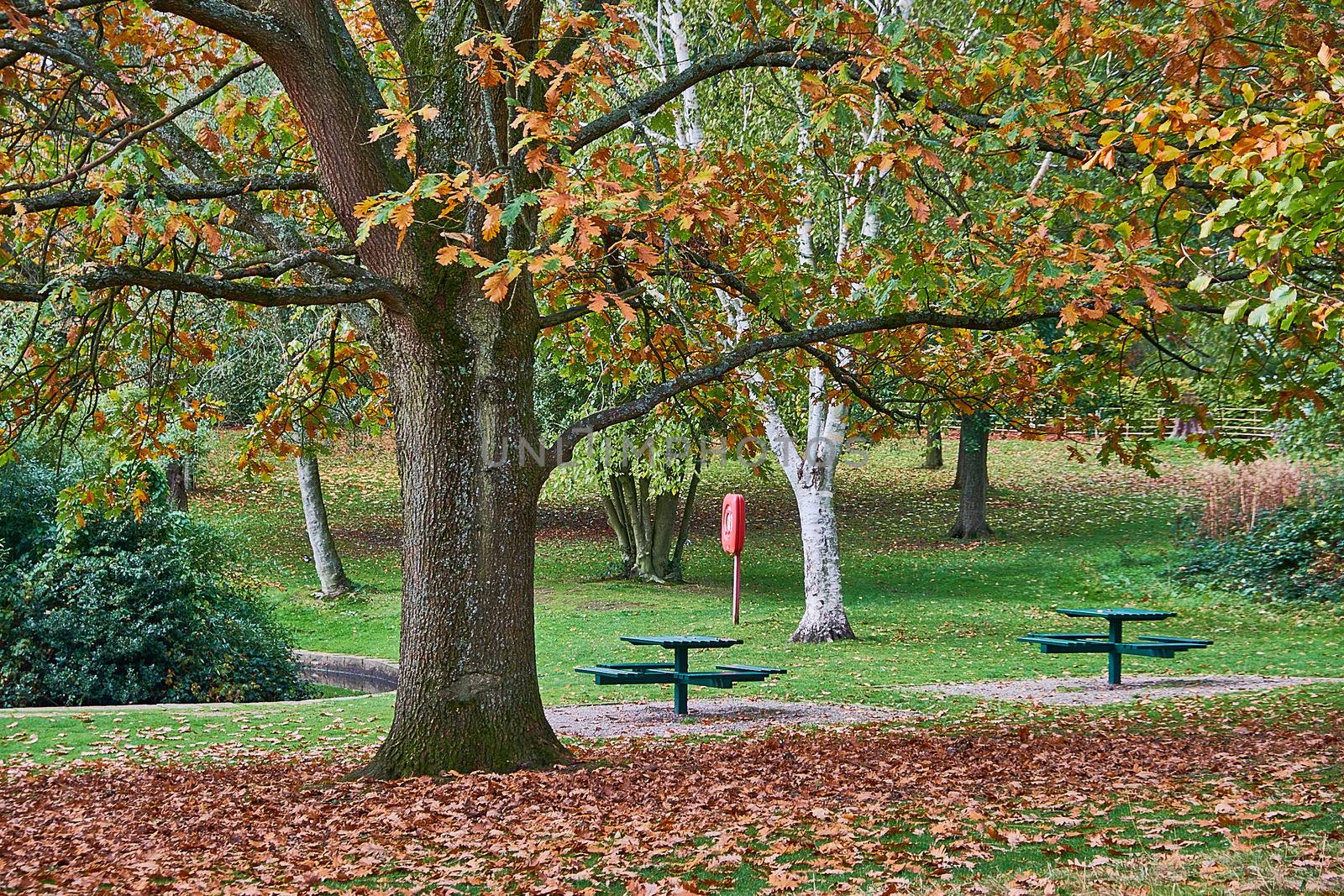 Autumn in Grove Park, a public park in Birmingham