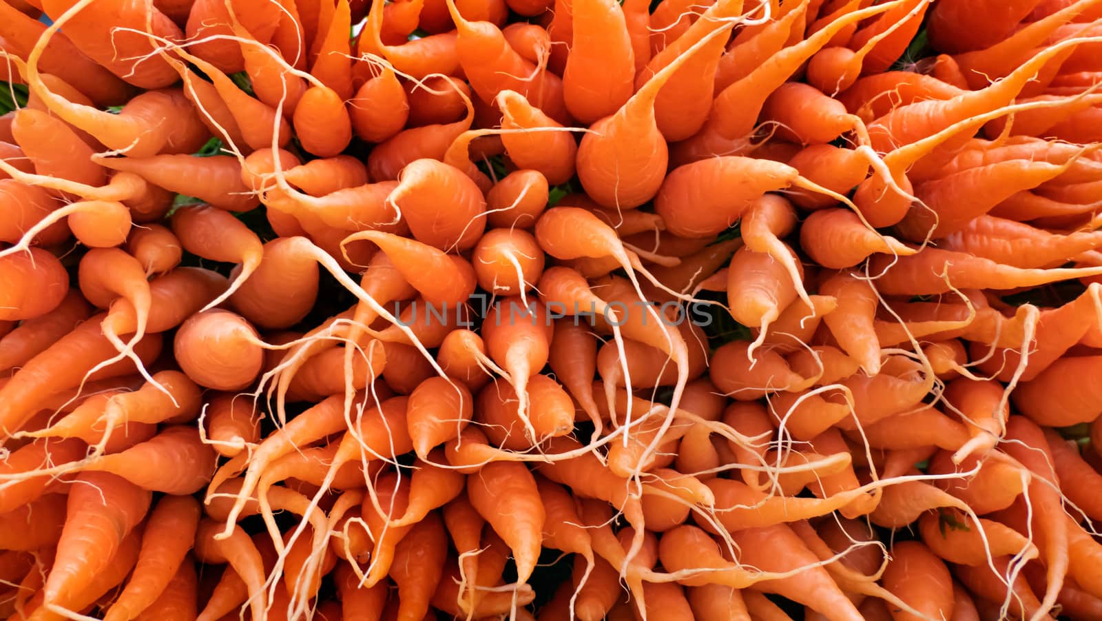 Bunch of fresh organic carrots in a market