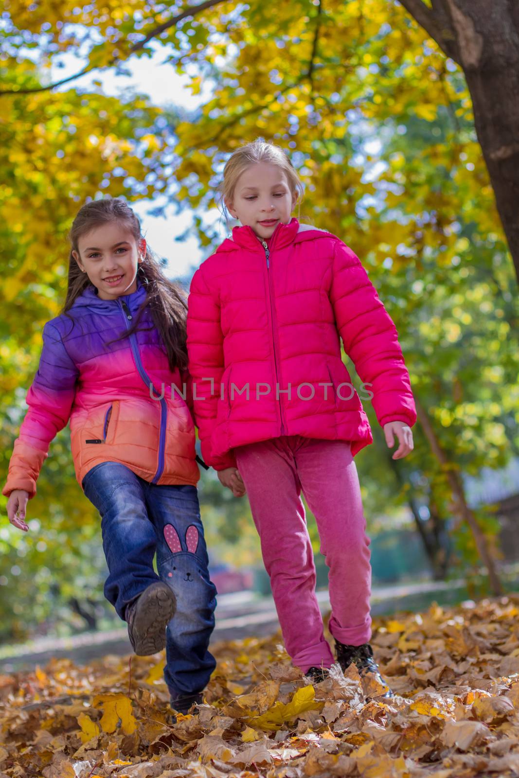 Two girls walking among autumn yellow trees