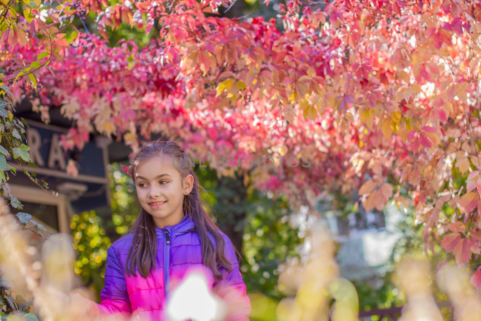 Smiling girl among red leaves in autumn