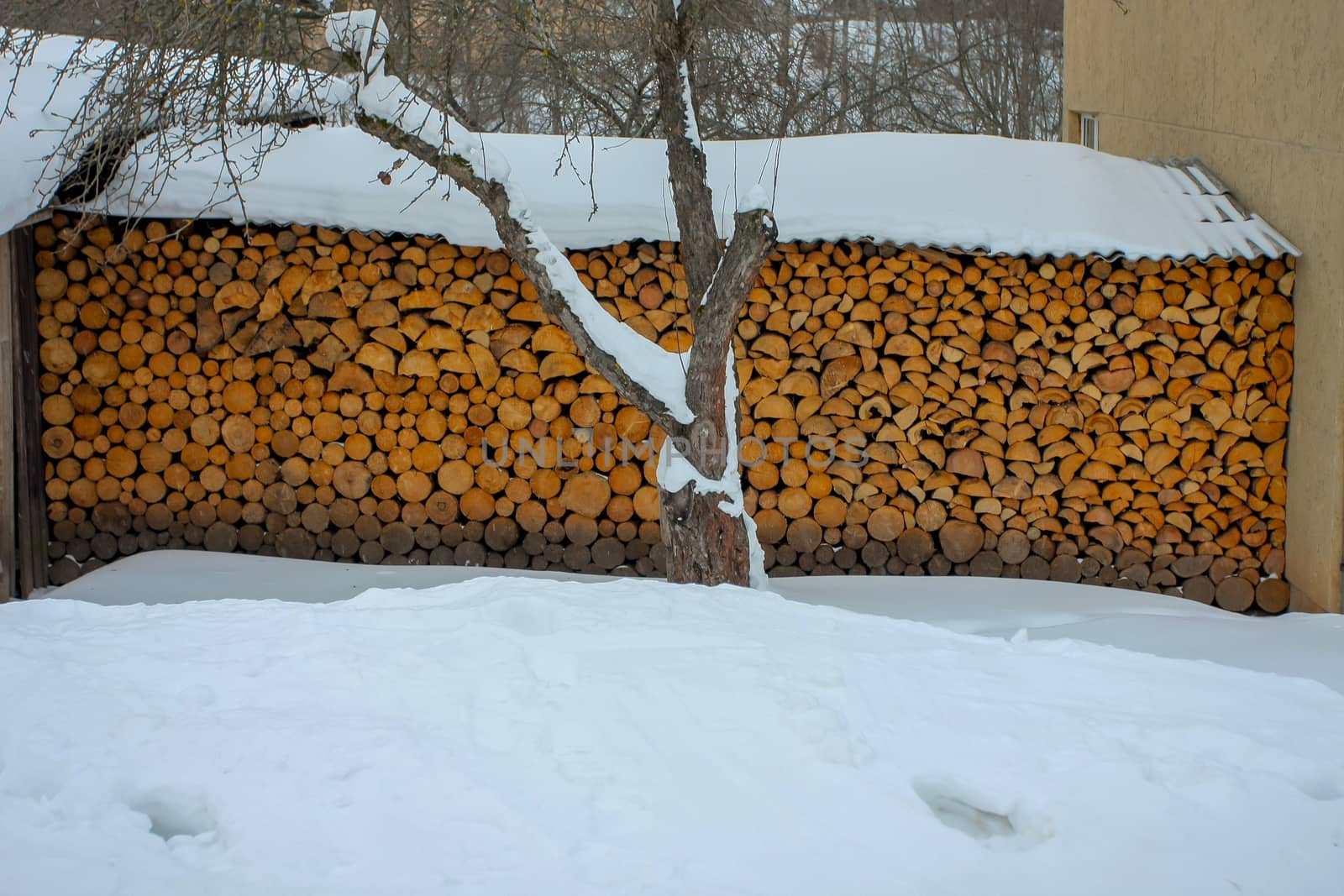 Stacked firewood in winter. Cesis. Latvia.