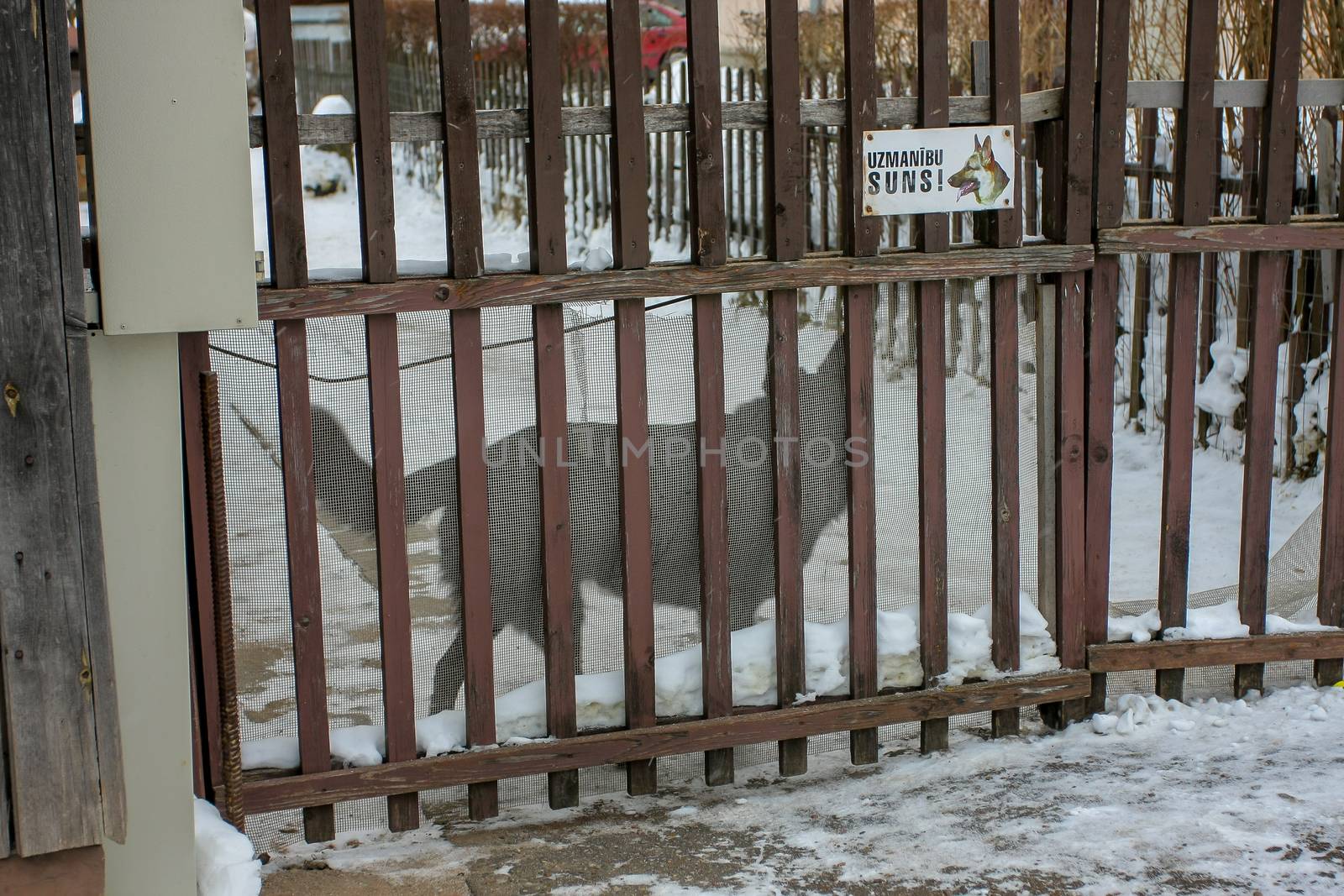 Winter in town. Cesis, Latvia. Title on gateway " Attention, dog".