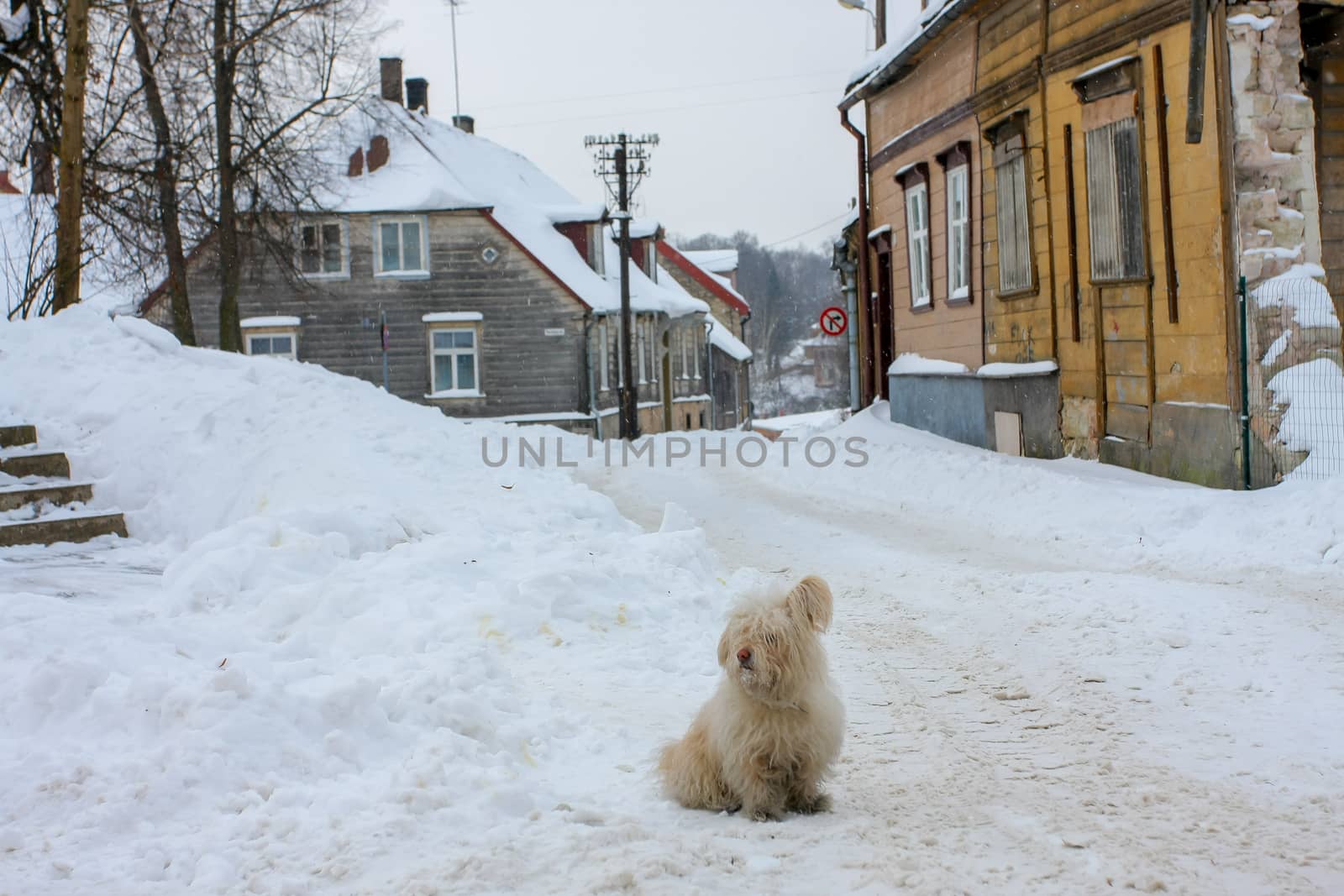 Winter in town. Cesis, Latvia.