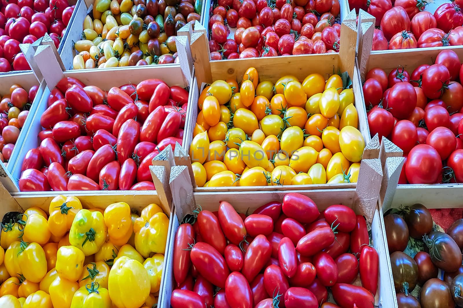 Organic fresh tomatoes     by JFsPic