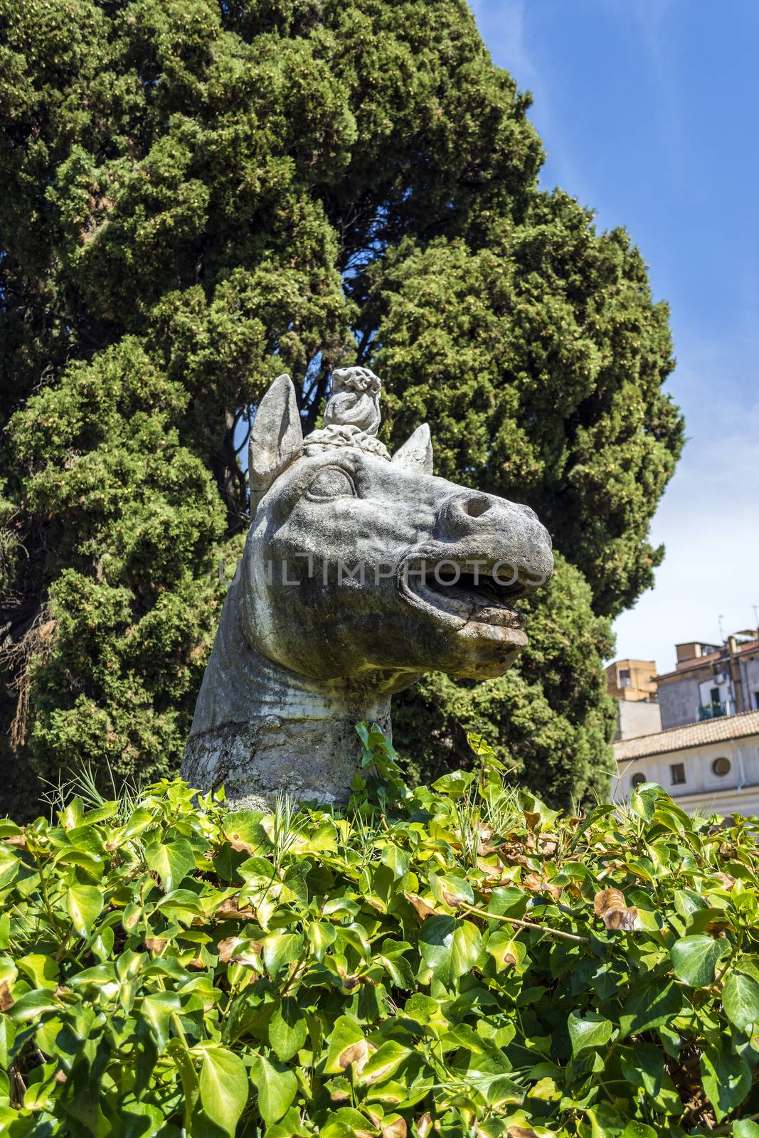 Ancient statue of horse in baths of Diocletian -Thermae Diocletiani- in Rome. Italy by ankarb