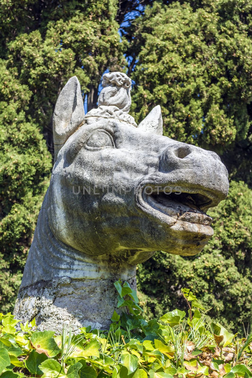 Ancient statue of horse in baths of Diocletian (Thermae Diocletiani) in Rome. Italy