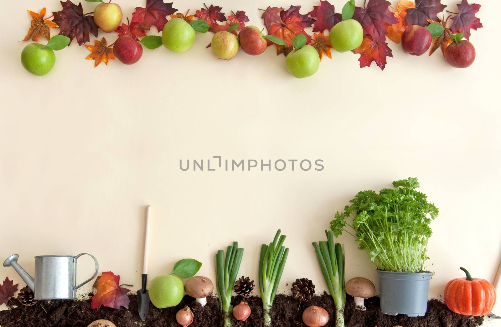 Autumn fruits growing from earth patch with apple orchard frame 