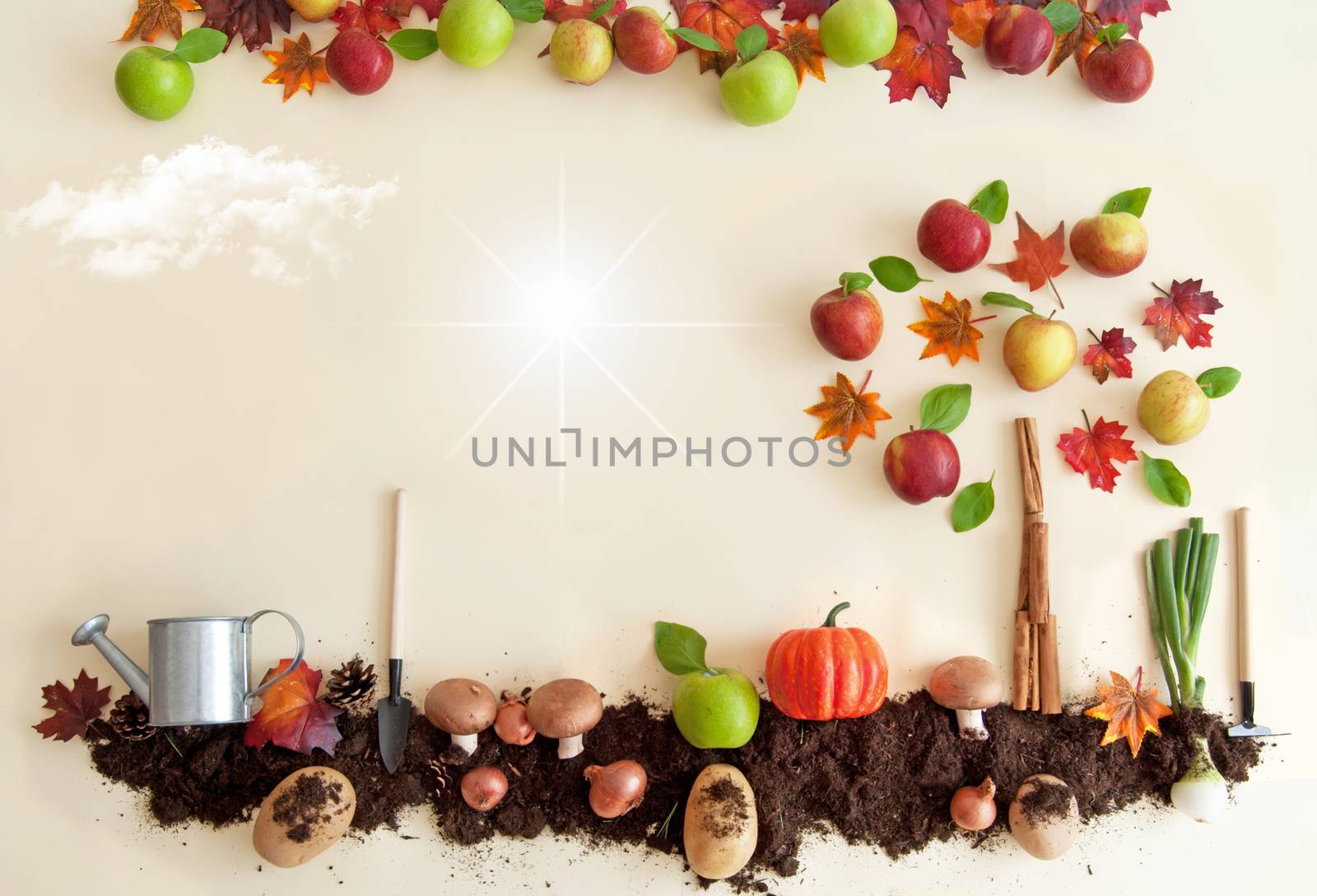 Autumn background by unikpix