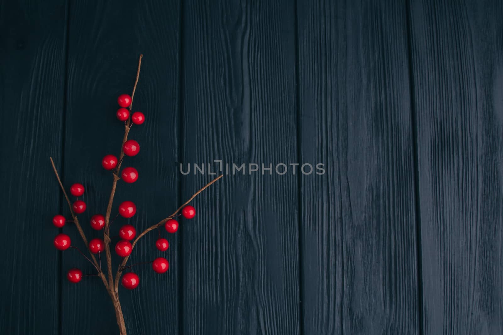 Christmas composition. Fir branches needles and berries of viburnum on a black background. New Year's composition