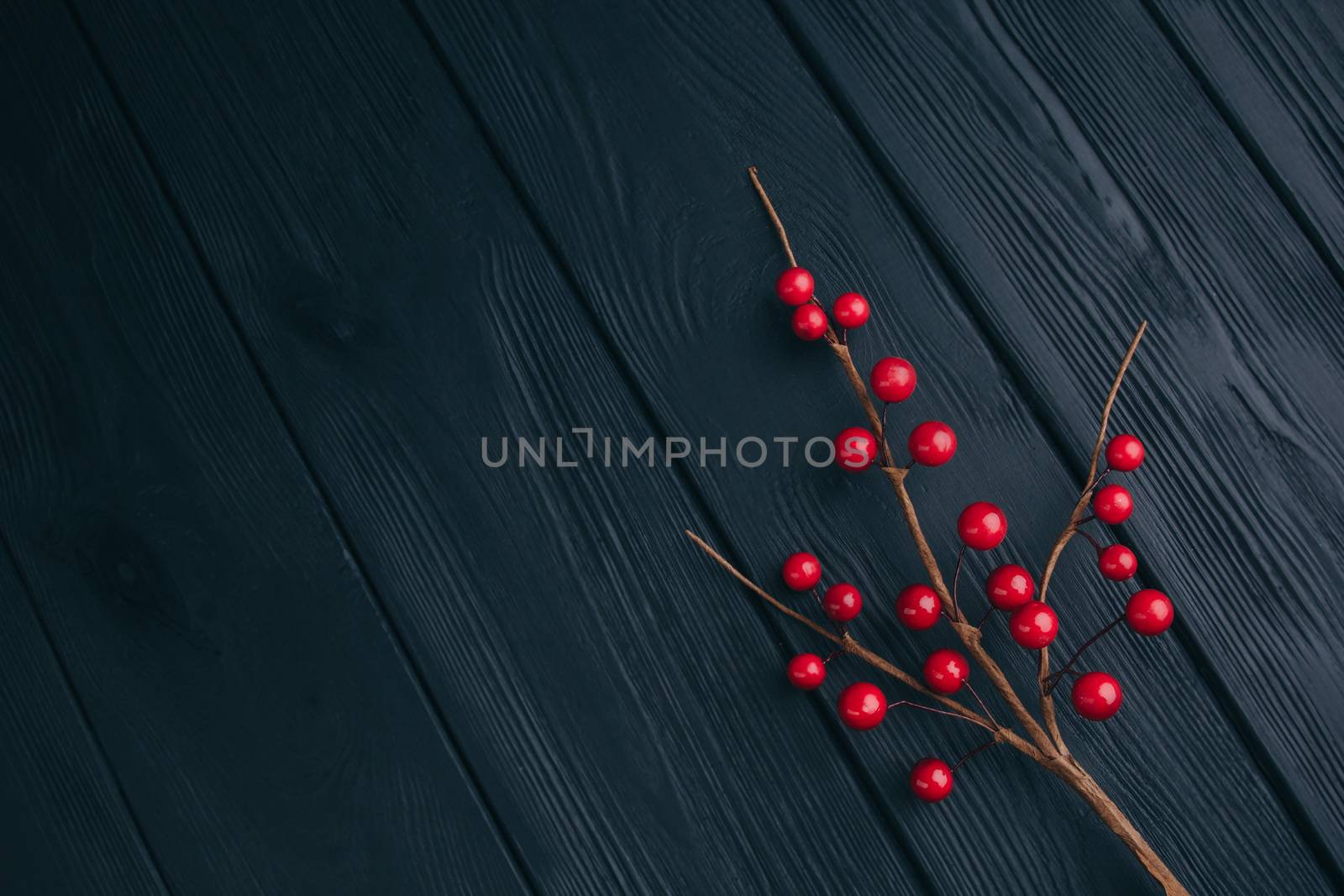 Christmas composition. Fir branches needles and berries of viburnum on a black background. New Year's composition