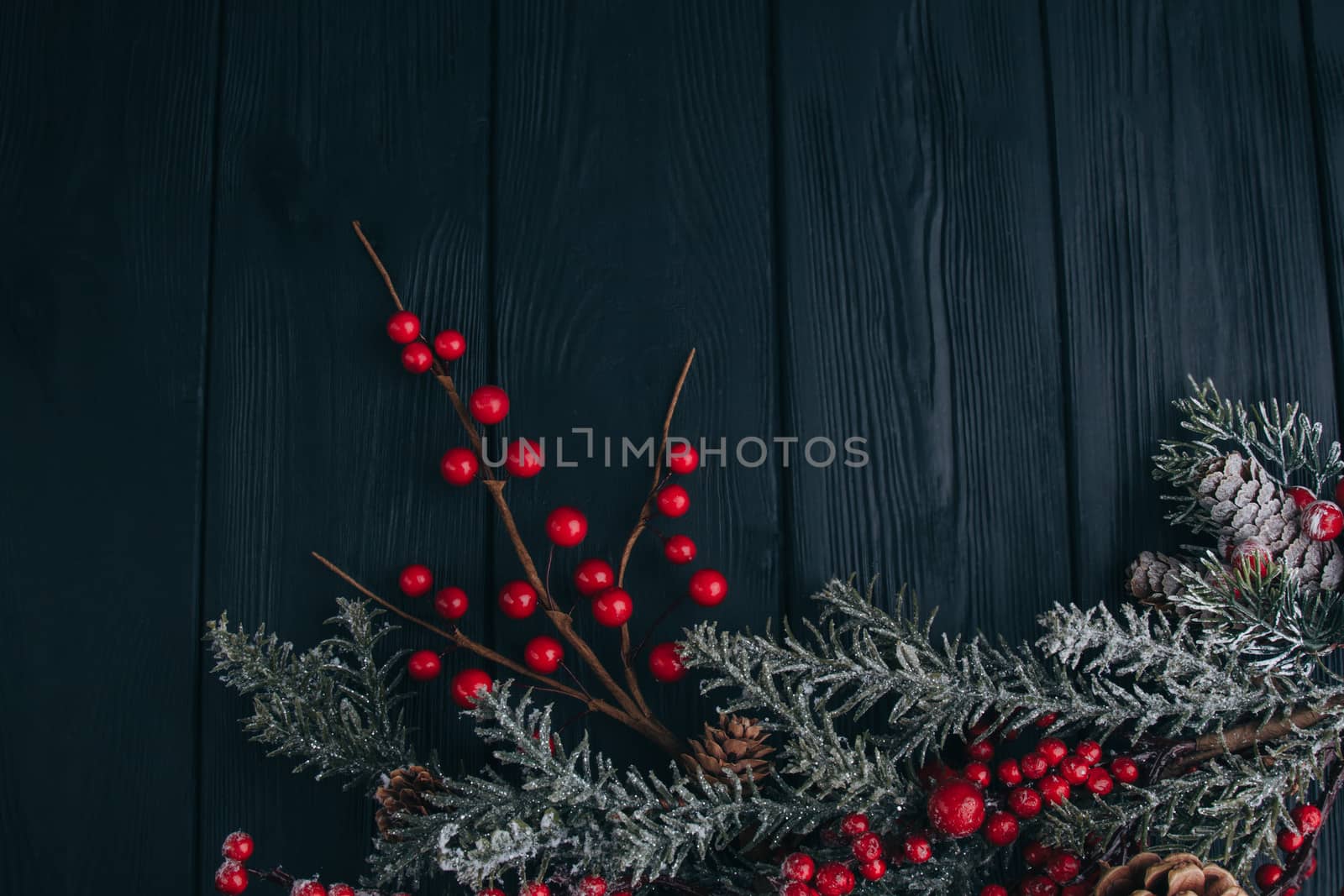 Christmas composition. Fir branches needles and berries of viburnum on a black background. New Year's composition