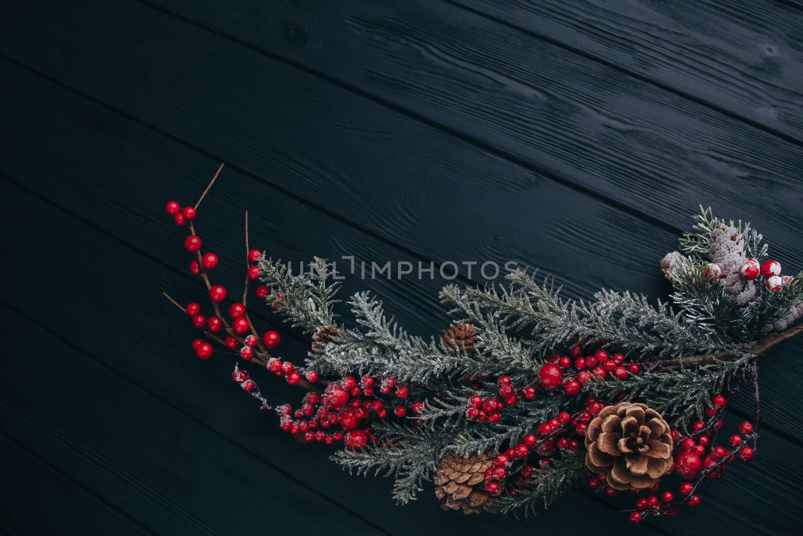 Christmas composition. Fir branches needles and berries of viburnum on a black background. New Year's composition