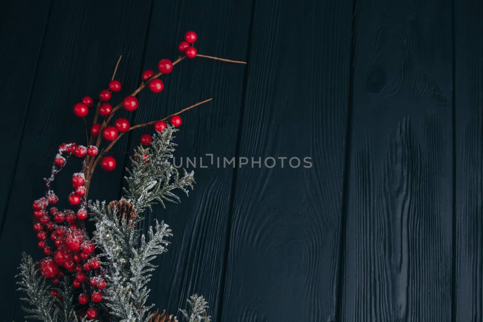 Christmas composition. Fir branches and berries of viburnum on a black background. New Year's composition by yulaphotographer