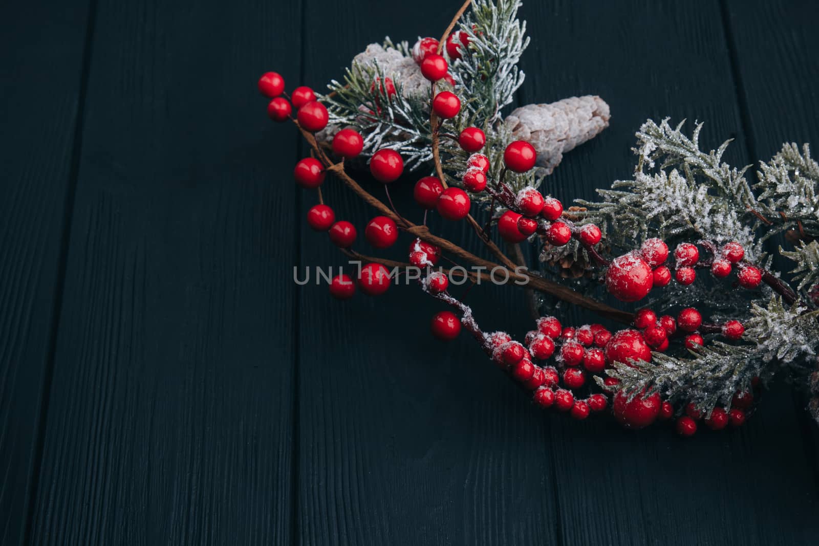 Christmas composition. Fir branches needles and berries of viburnum on a black background. New Year's composition