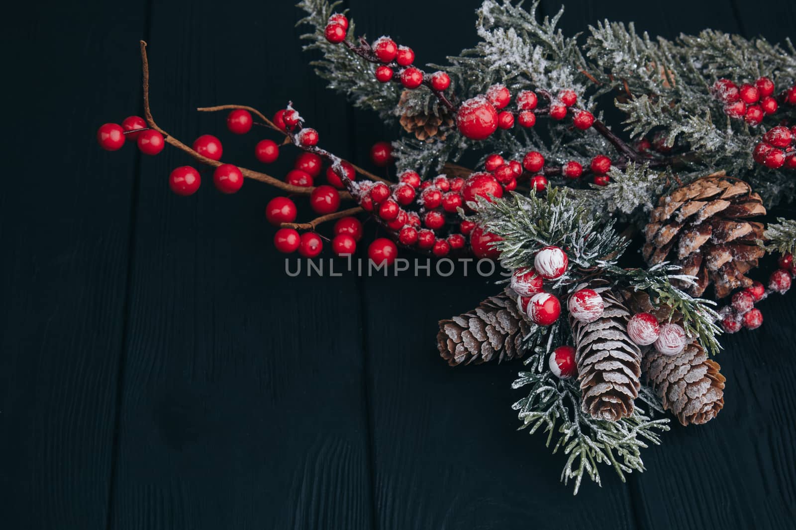Christmas composition. Fir branches and berries of viburnum on a black background. New Year's composition by yulaphotographer